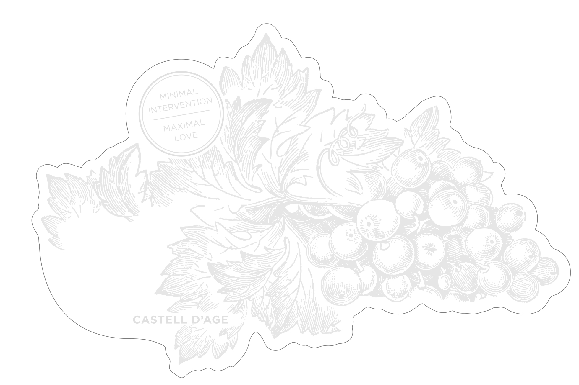 TABC label artwork for CASTELL D'AGE ANNE MARIE CAVA