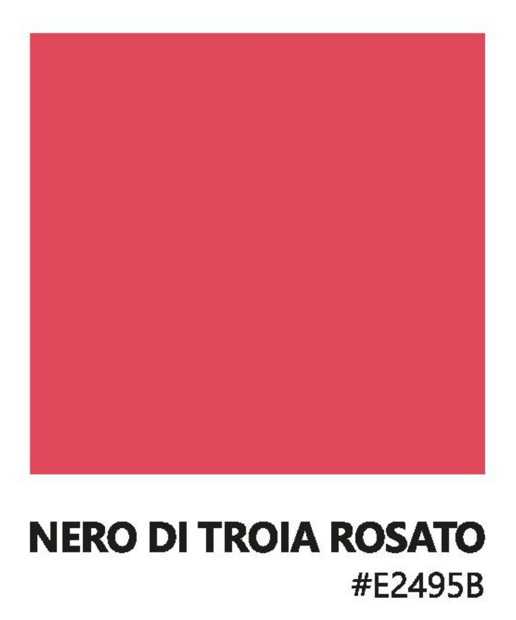 TABC label artwork for Tenuta Demaio Nero Di Troia Rosato