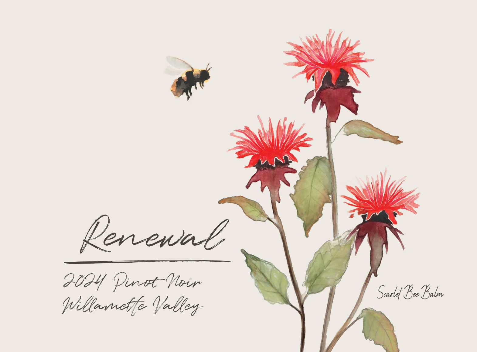 TABC label artwork for Renewal Pinot Noir Willamette Valley