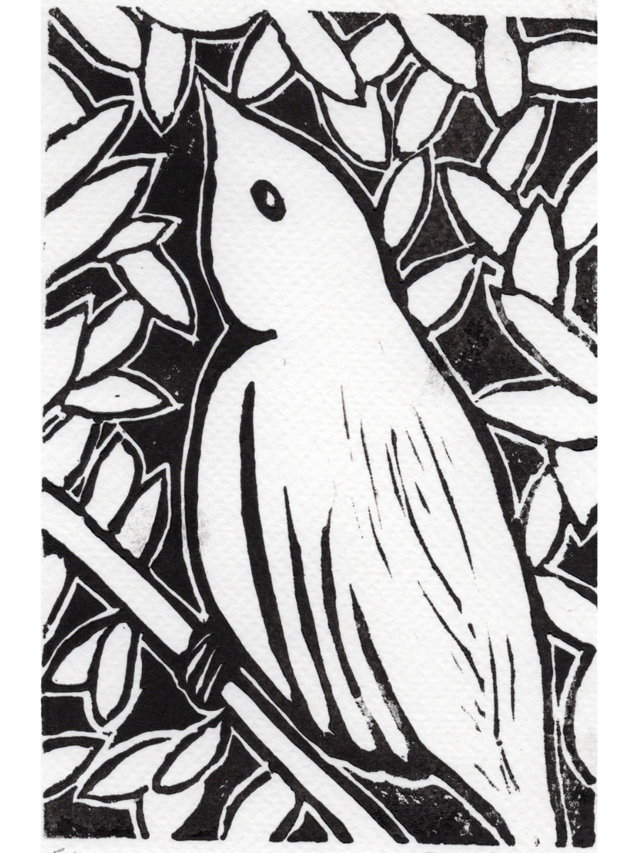 TABC label artwork for THRESHOLD VINEYARDS BIRDIE TANNAT