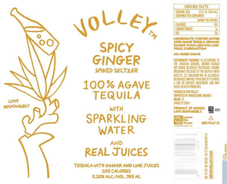 TABC label artwork for Volley Spicy Ginger 100% Agave Tequila