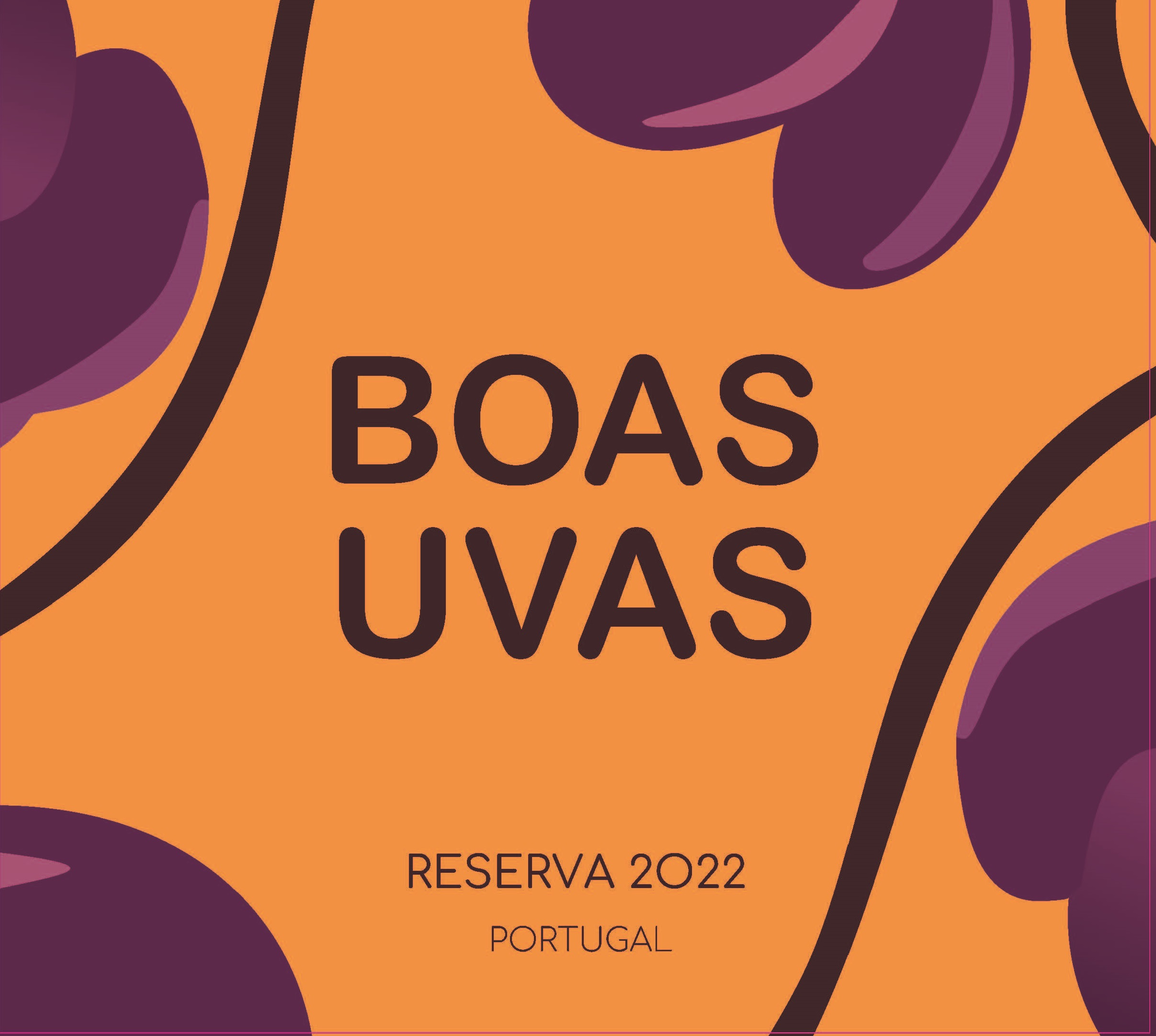 TABC label artwork for Boas Uvas Reserva Red Wine DAO
