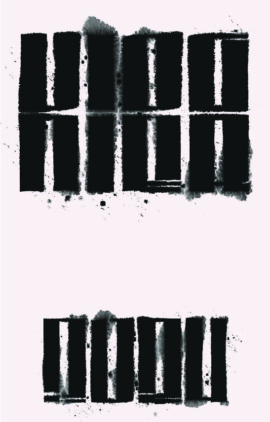 TABC label artwork for Slate Theory Viognier 24