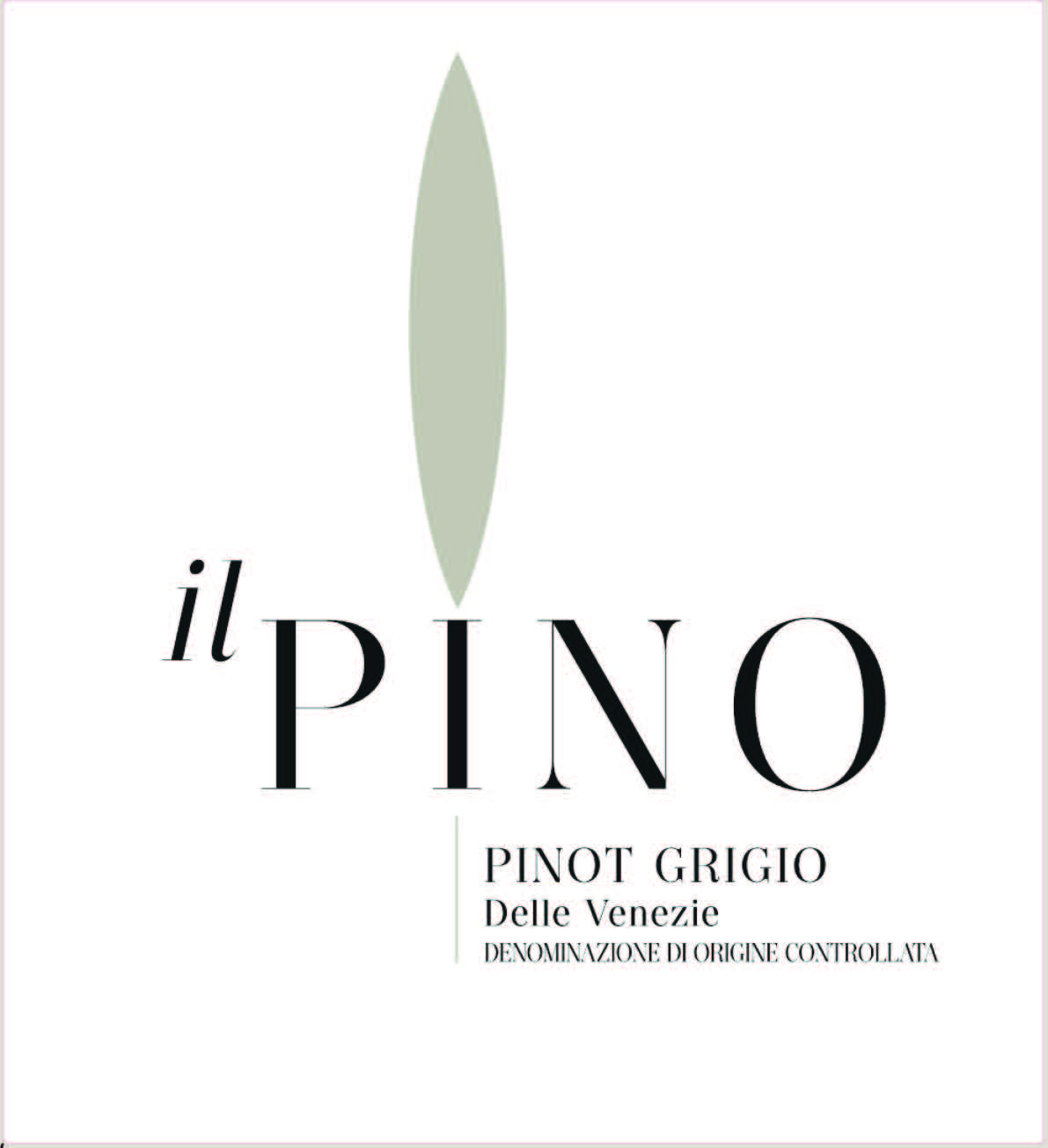 TABC label artwork for Il Pino Delle Venezie Pinot Grigio, Italy