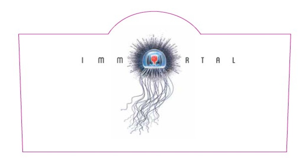 TABC label artwork for Immortal Slope Cabernet Sauvignon