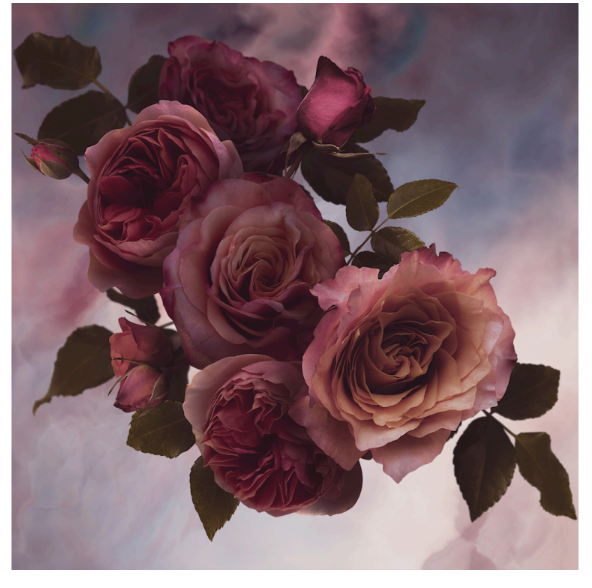 TABC label artwork for RIO GRANDE WINERY POCO DULCE