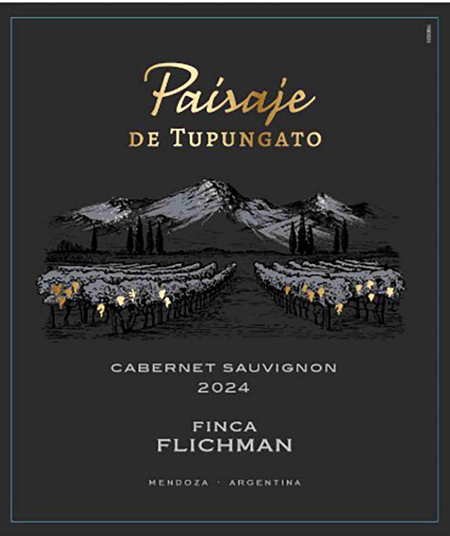 TABC label artwork for PAISAJE DE TUPUNGATO CABERNET SAUVIGNON MENDOZA