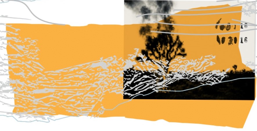 TABC label artwork for Eight Years In the Desert Napa Valley Red