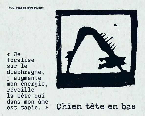 TABC label artwork for Les Infiltrés, VDF Grolleau Blanc de Noir 'Chien Tête en Bas'