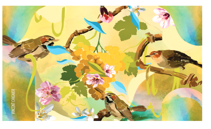 TABC label artwork for Mulit, Prija, Ribolla Gialla, Brda